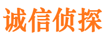 武进市私家侦探